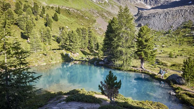 Bild ohne Titel